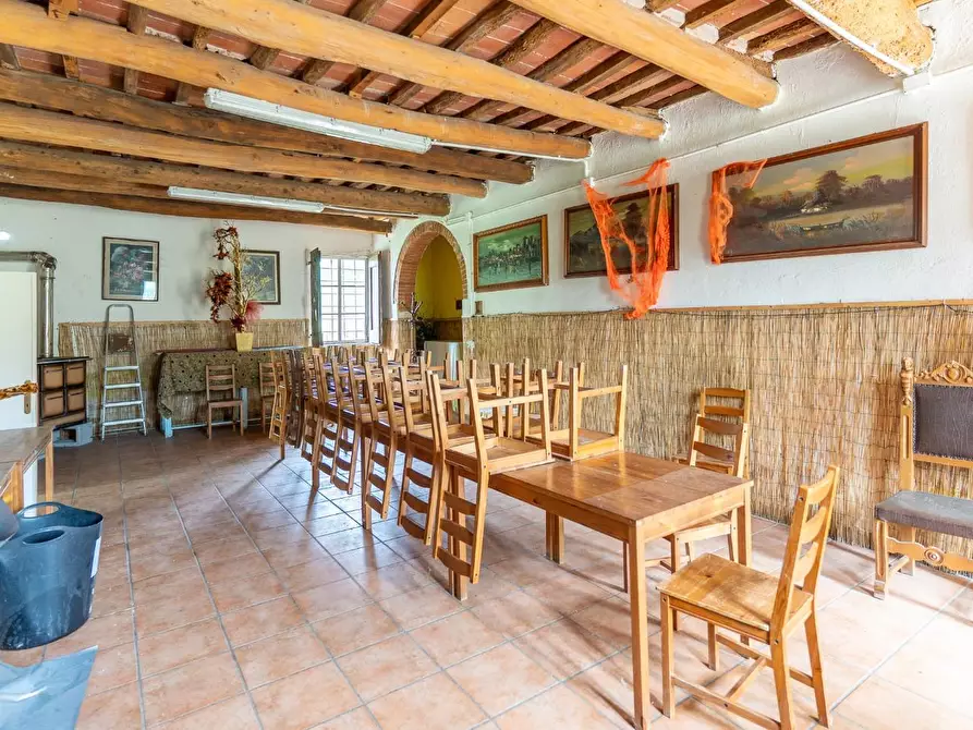 Immagine 31 di Casa colonica in vendita  a Empoli