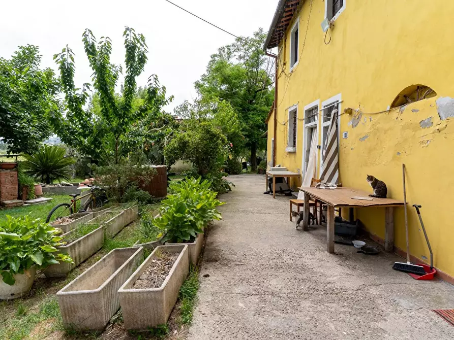 Immagine 28 di Casa colonica in vendita  a Empoli