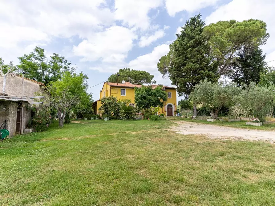 Immagine 4 di Casa colonica in vendita  a Empoli