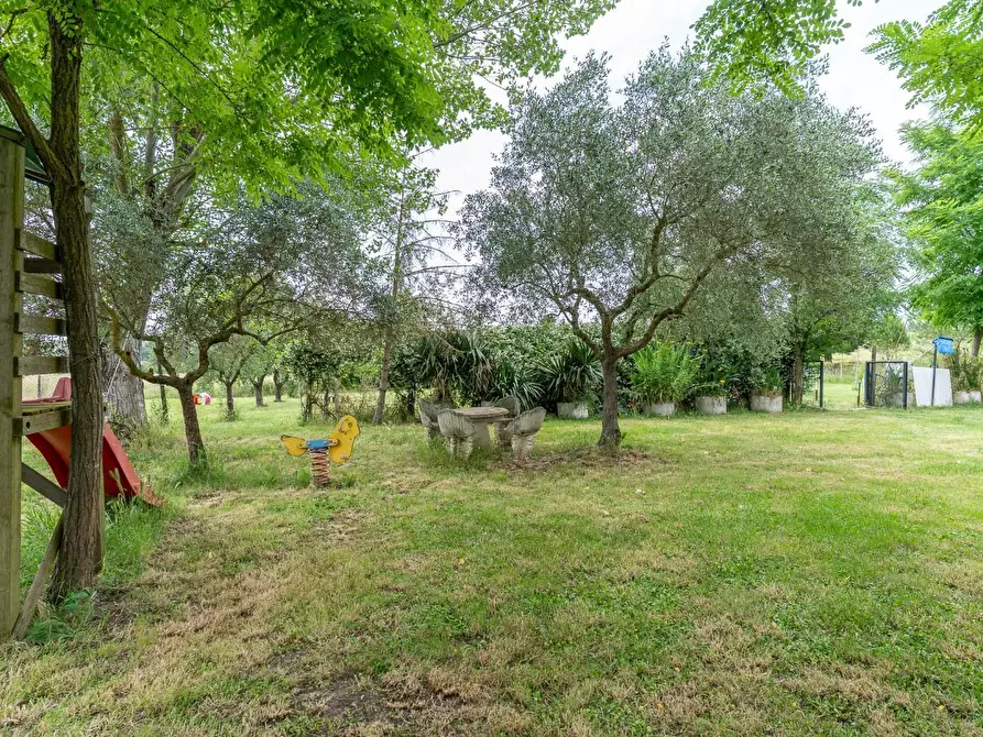 Immagine 15 di Casa colonica in vendita  a Empoli