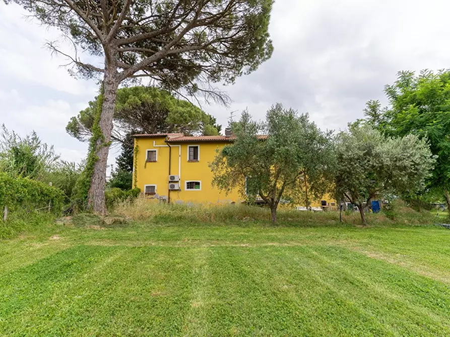 Immagine 24 di Casa colonica in vendita  a Empoli