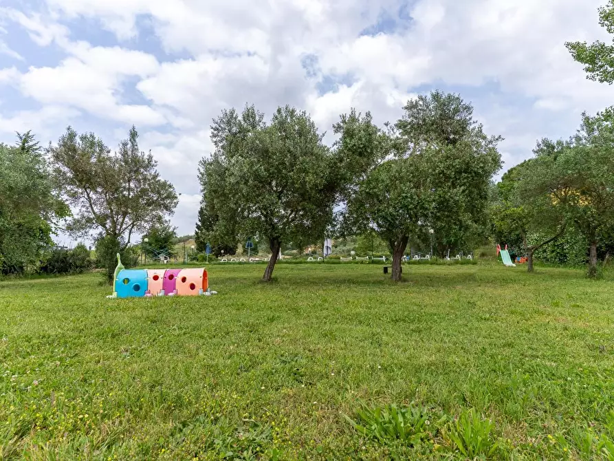 Immagine 21 di Casa colonica in vendita  a Empoli