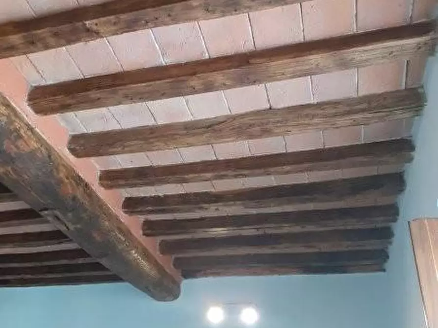 Immagine 35 di Appartamento in vendita  a Carrara