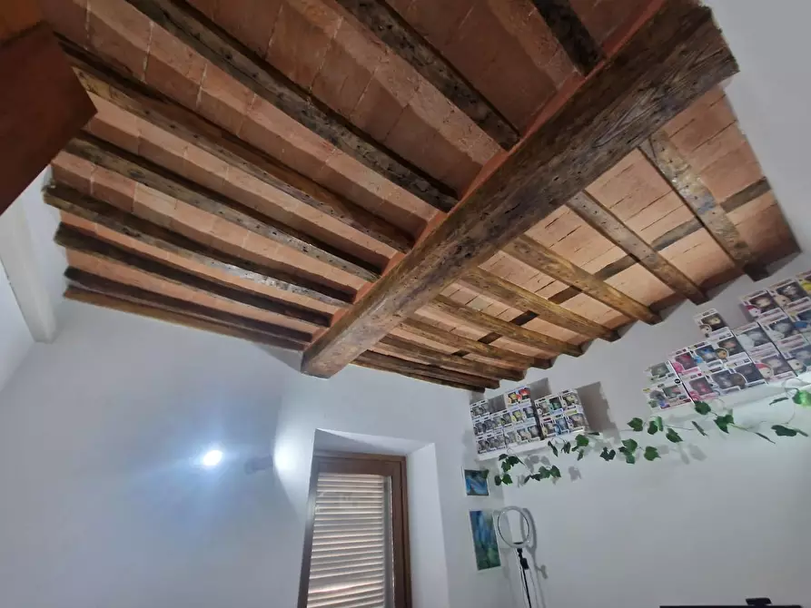 Immagine 15 di Appartamento in vendita  a Carrara