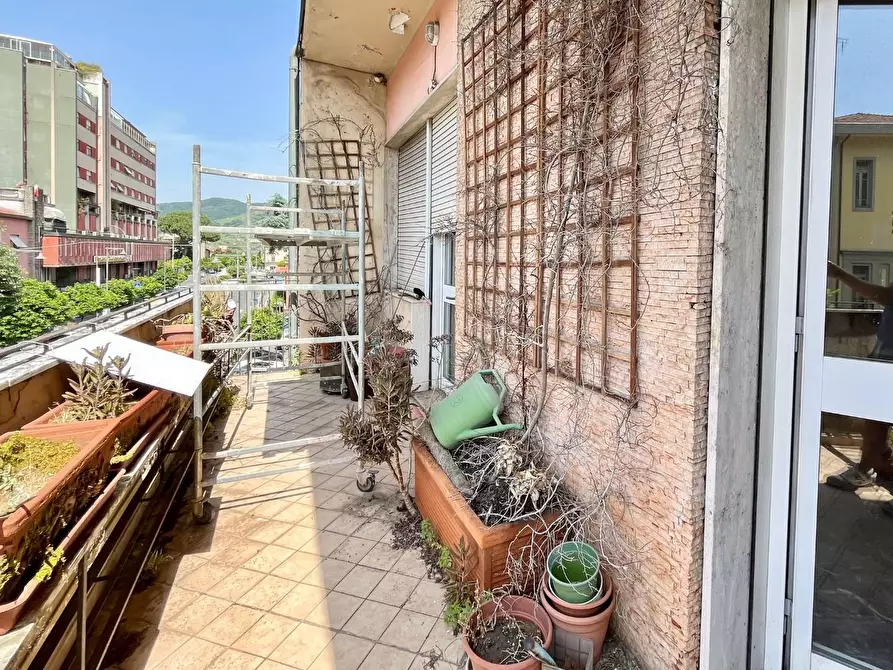 Immagine 4 di Appartamento in vendita  a Massa