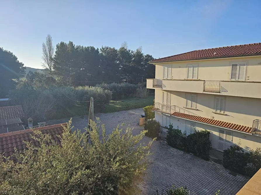 Immagine 16 di Appartamento in vendita  a Rosignano Marittimo