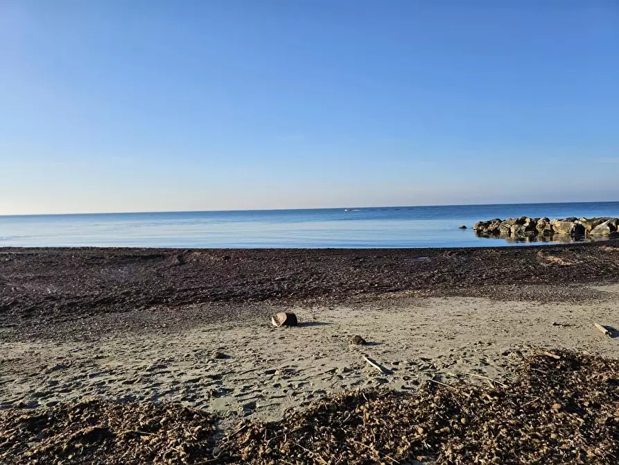 Immagine 31 di Appartamento in vendita  a Rosignano Marittimo