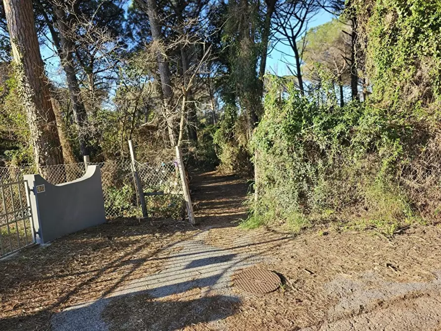 Immagine 32 di Appartamento in vendita  a Rosignano Marittimo