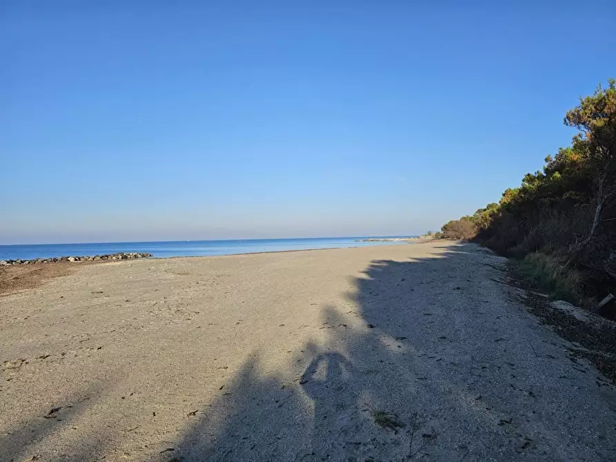 Immagine 30 di Appartamento in vendita  a Rosignano Marittimo