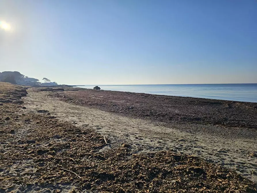 Immagine 29 di Appartamento in vendita  a Rosignano Marittimo