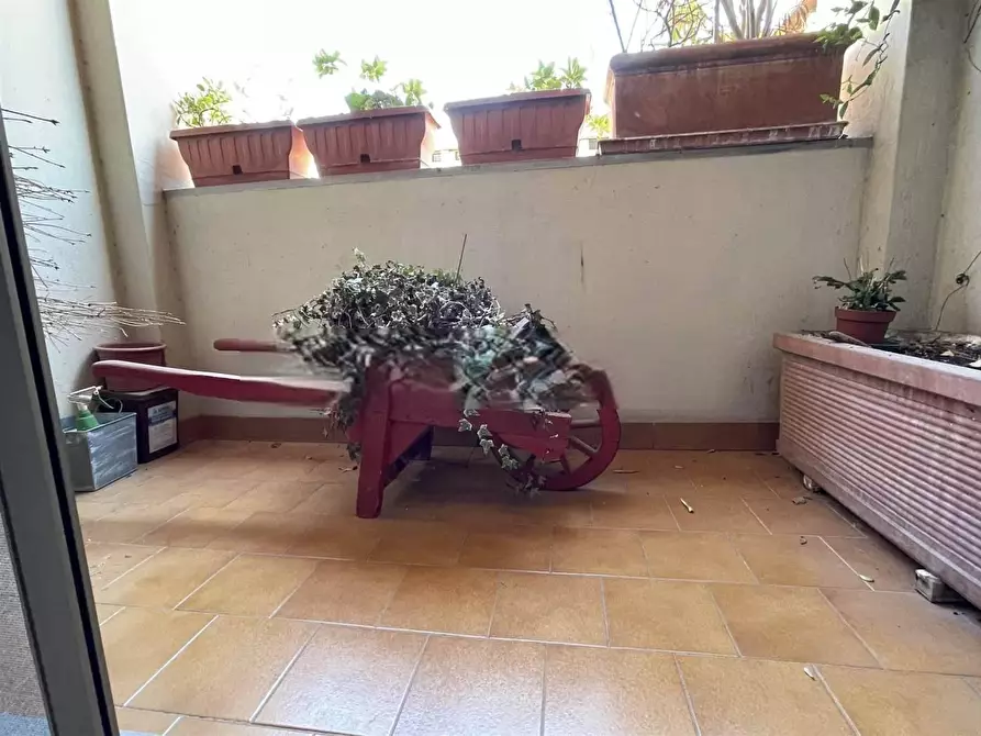 Immagine 27 di Appartamento in vendita  a Pisa