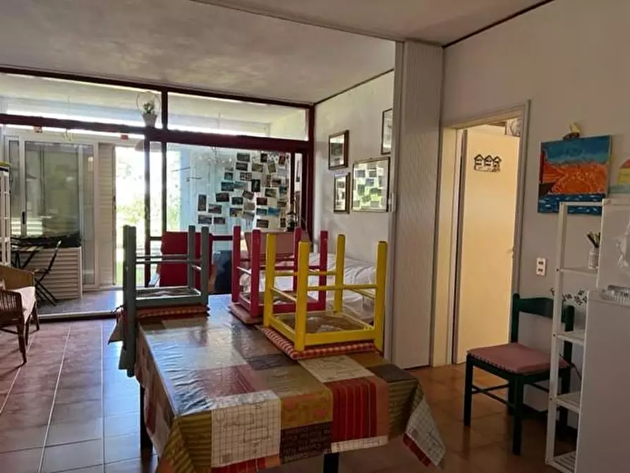 Immagine 7 di Appartamento in vendita  a Bibbona