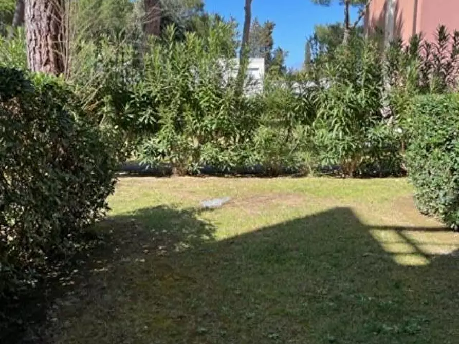 Immagine 9 di Appartamento in vendita  a Bibbona