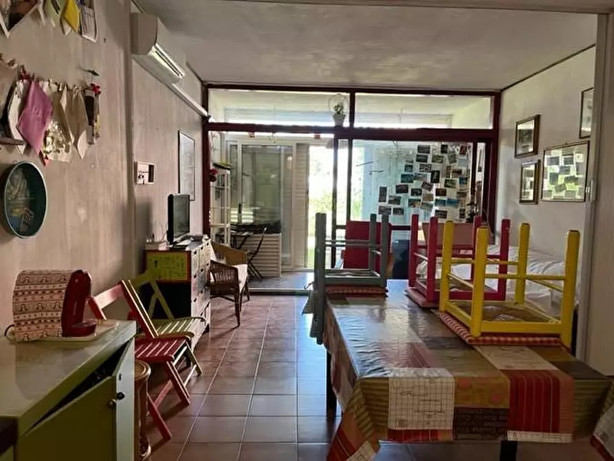 Immagine 6 di Appartamento in vendita  a Bibbona