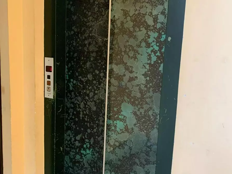 Immagine 8 di Appartamento in vendita  a Ciriè