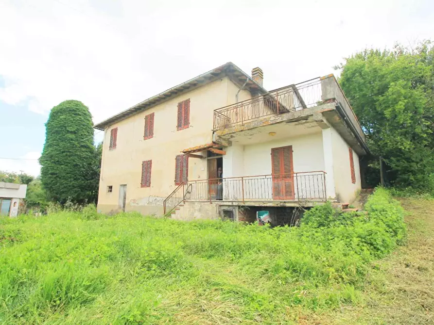 Immagine 12 di Casa colonica in vendita  a Vinci