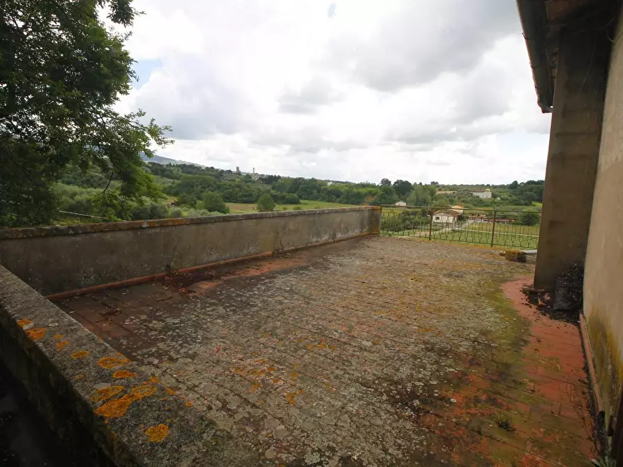 Immagine 11 di Casa colonica in vendita  a Vinci