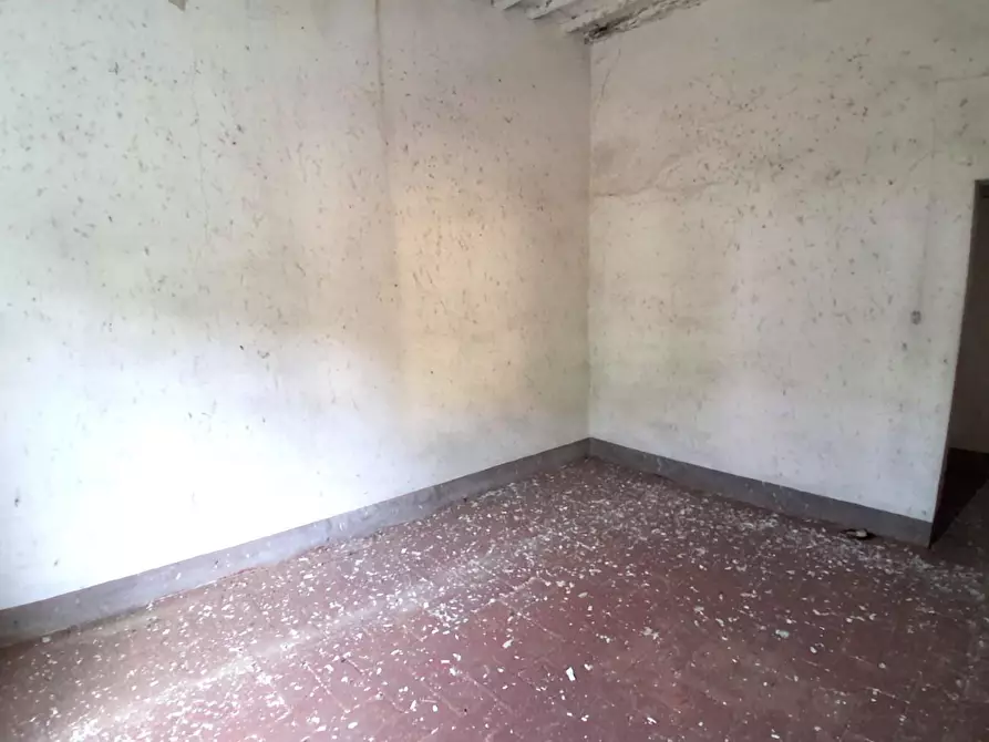 Immagine 12 di Terratetto in vendita  a Capannori