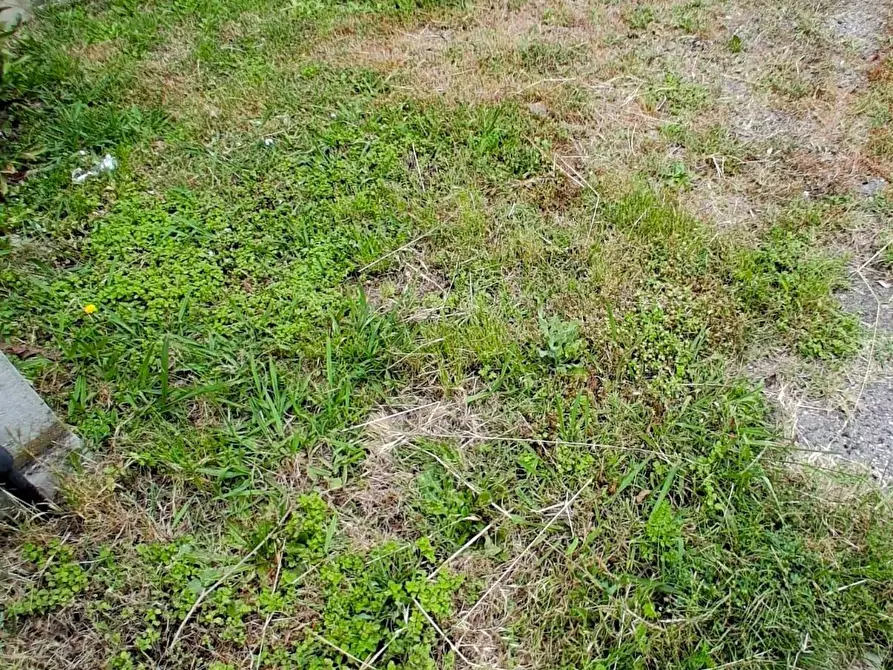 Immagine 6 di Terratetto in vendita  a Capannori