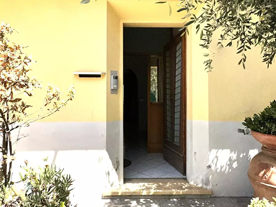 Immagine 6 di Terratetto in vendita  a Ponsacco