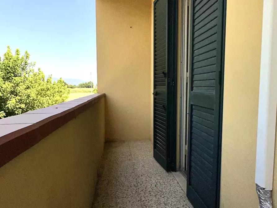 Immagine 11 di Terratetto in vendita  a Ponsacco