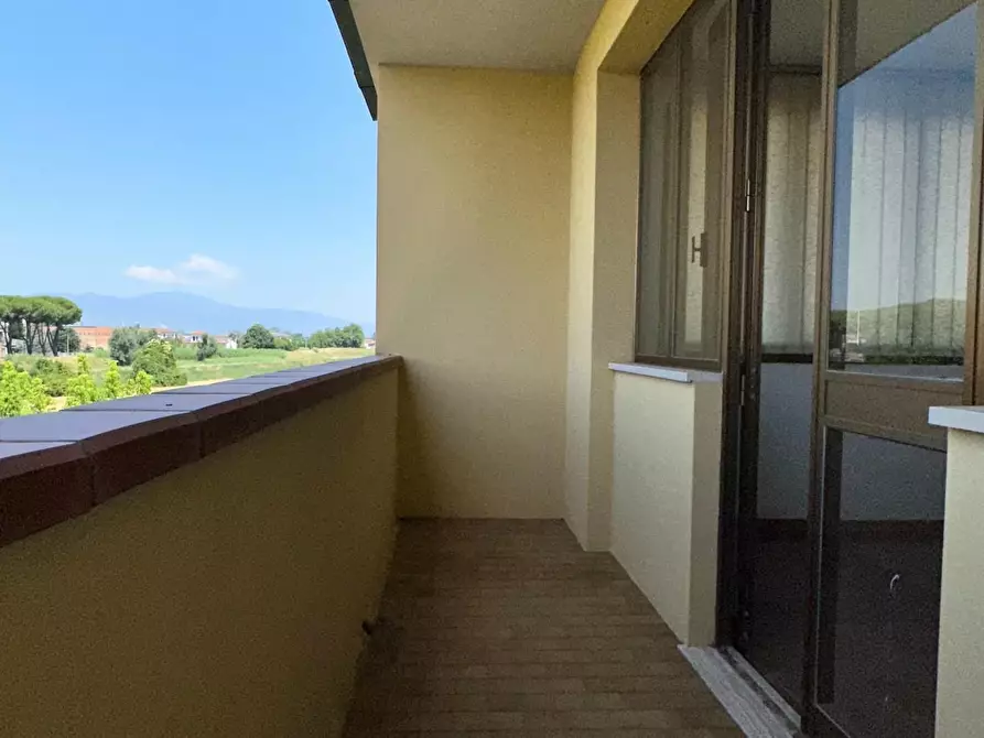 Immagine 22 di Terratetto in vendita  a Ponsacco