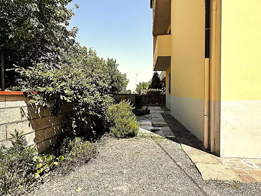 Immagine 23 di Terratetto in vendita  a Ponsacco