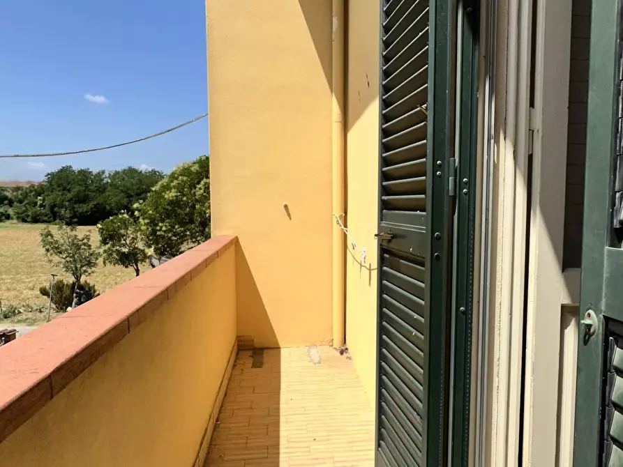 Immagine 16 di Terratetto in vendita  a Ponsacco