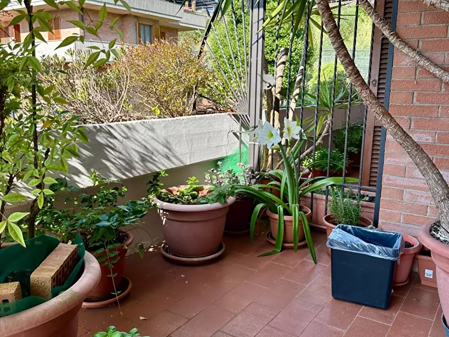 Immagine 35 di Appartamento in vendita  a Siena