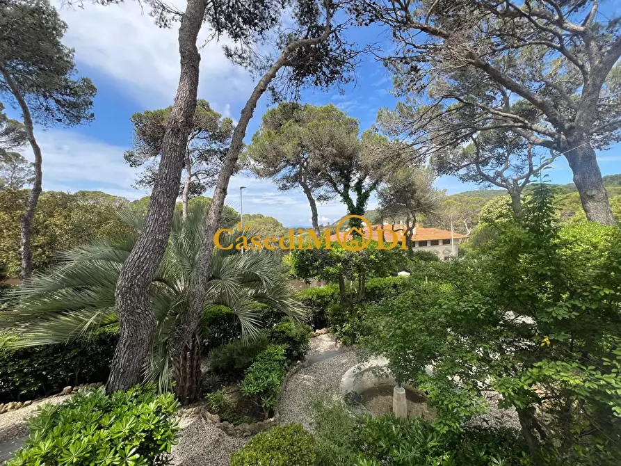 Immagine 3 di Villa in vendita  a Livorno