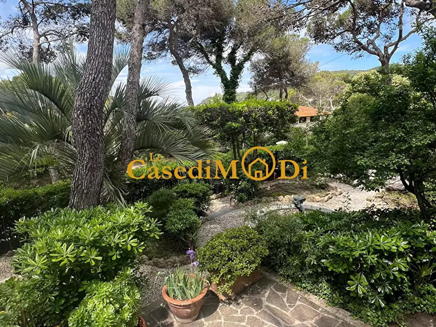 Immagine 2 di Villa in vendita  a Livorno