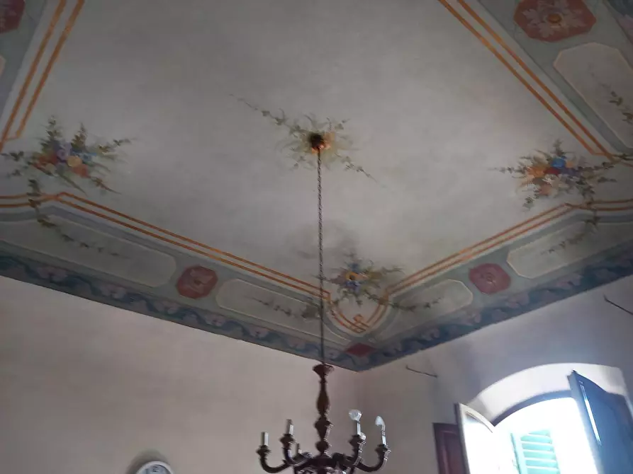 Immagine 2 di Villa in vendita  a Pisa