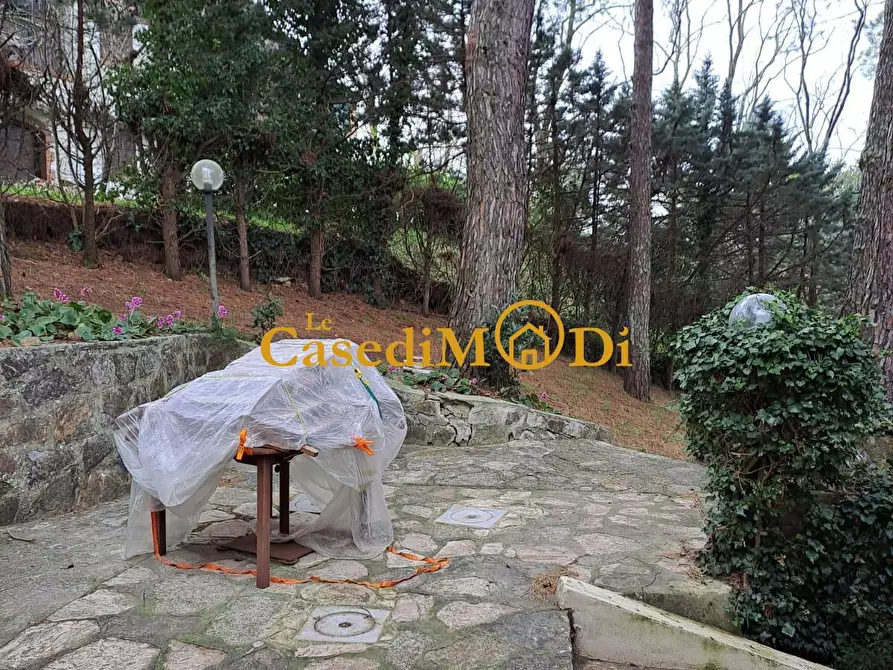 Immagine 11 di Villa in vendita  a Casciana Terme Lari