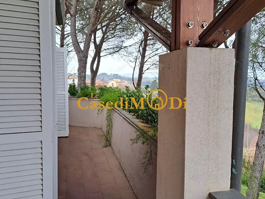 Immagine 5 di Villa in vendita  a Casciana Terme Lari
