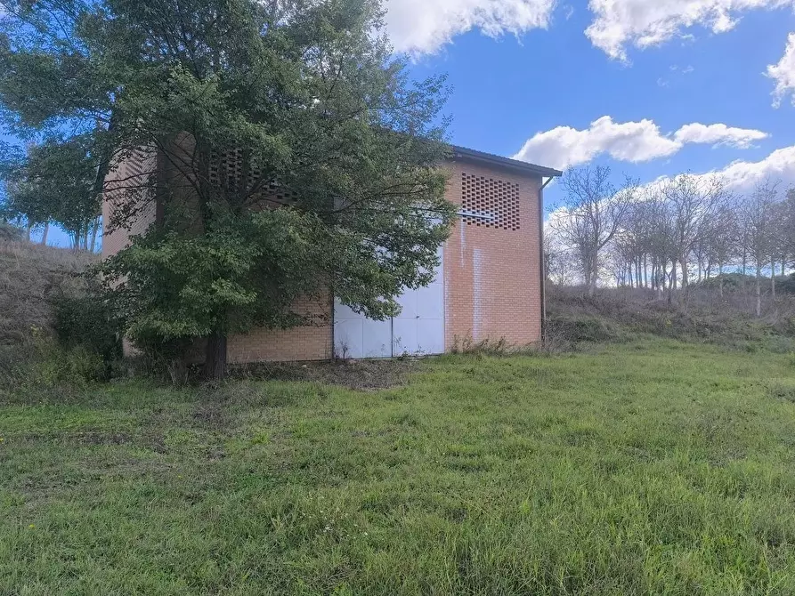 Immagine 22 di Casa colonica in vendita  a Siena