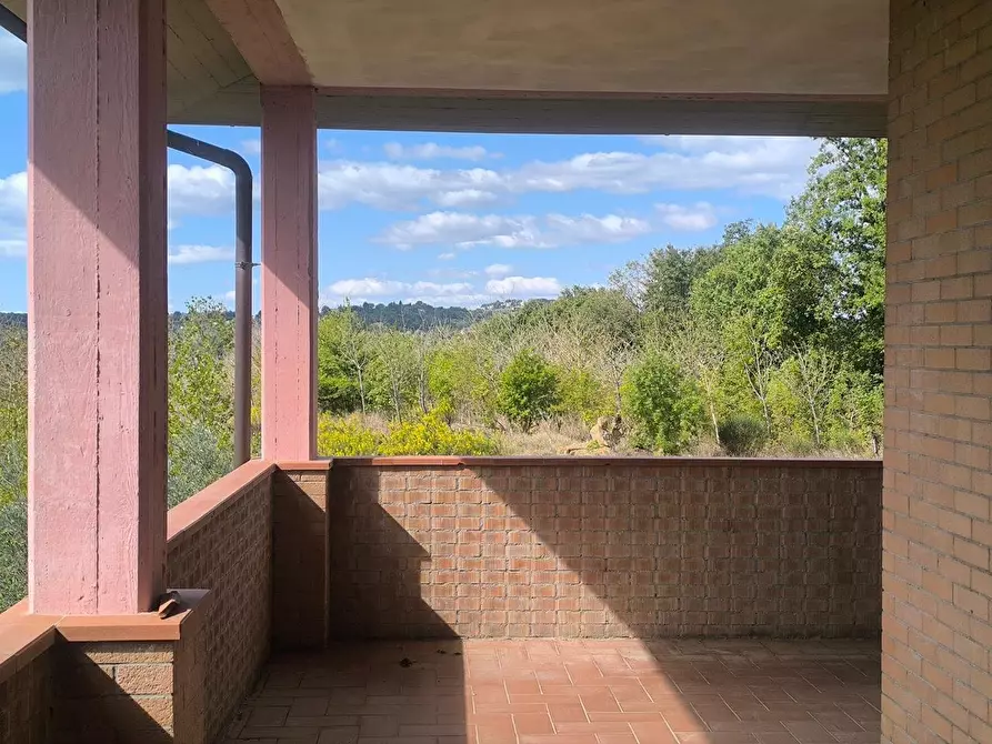 Immagine 61 di Casa colonica in vendita  a Siena