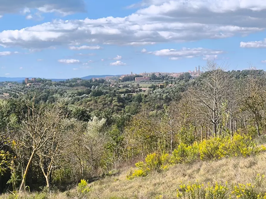 Immagine 24 di Casa colonica in vendita  a Siena