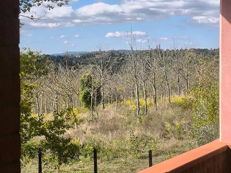 Immagine 62 di Casa colonica in vendita  a Siena
