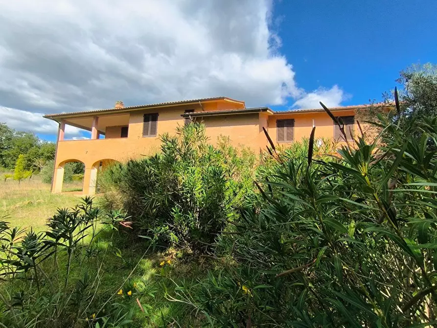 Immagine 49 di Casa colonica in vendita  a Siena