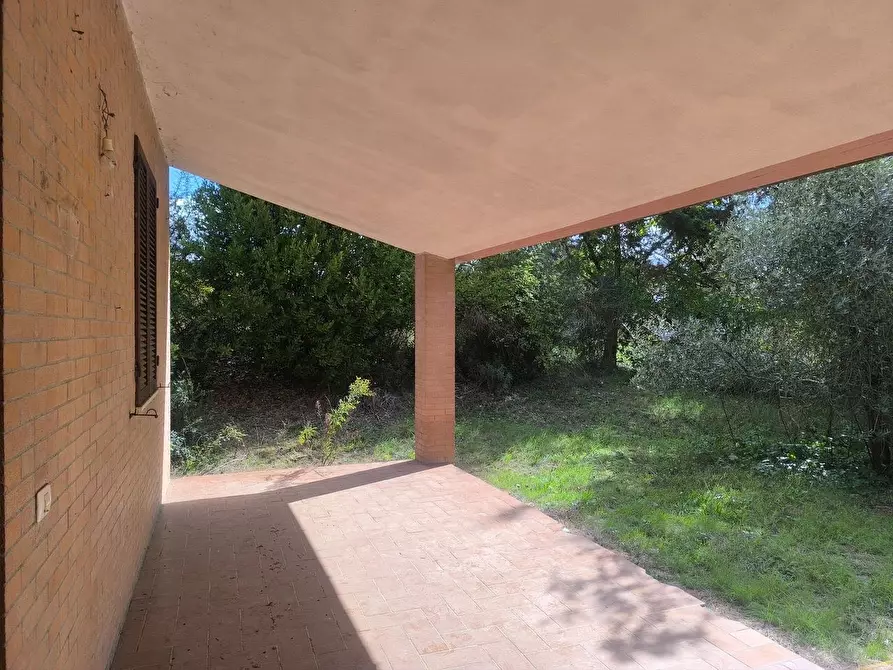 Immagine 52 di Casa colonica in vendita  a Siena
