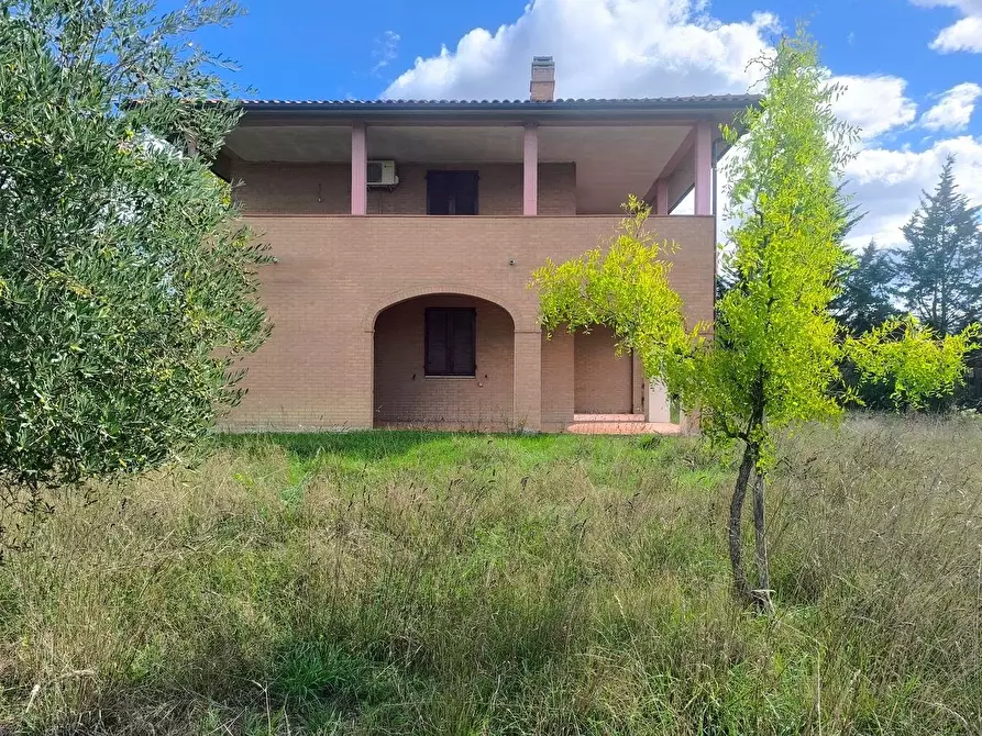 Immagine 41 di Casa colonica in vendita  a Siena