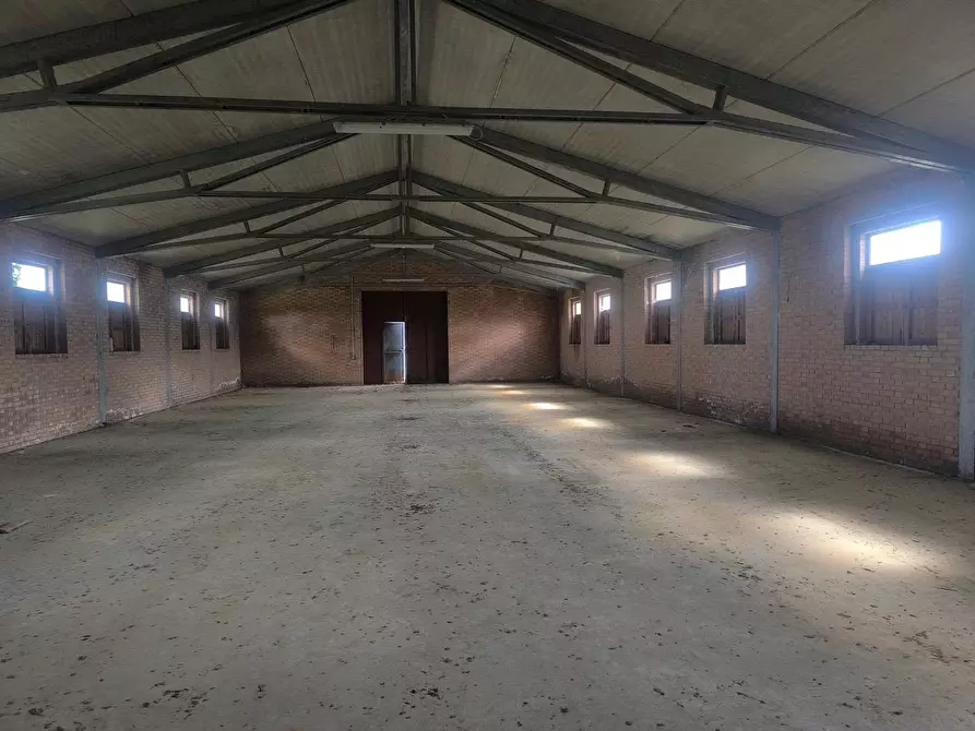 Immagine 11 di Casa colonica in vendita  a Siena