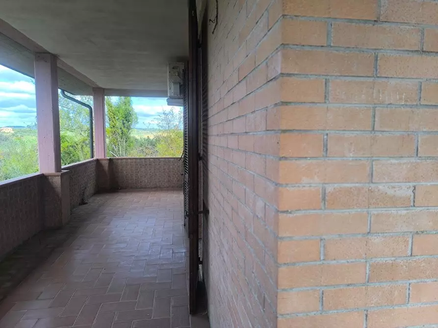 Immagine 96 di Casa colonica in vendita  a Siena
