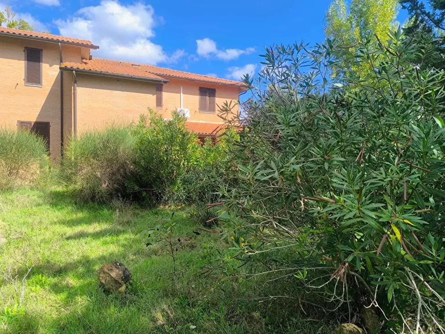 Immagine 46 di Casa colonica in vendita  a Siena