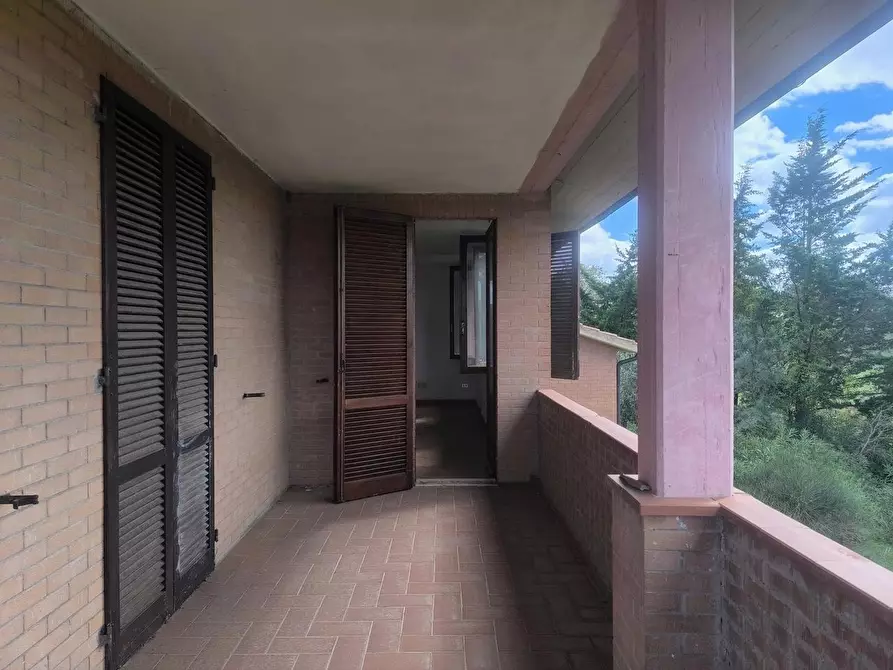 Immagine 98 di Casa colonica in vendita  a Siena