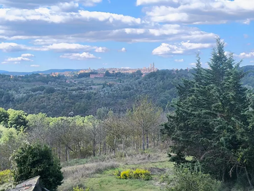 Immagine 4 di Casa colonica in vendita  a Siena