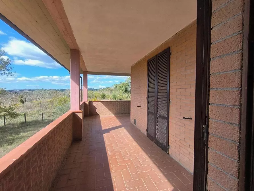 Immagine 60 di Casa colonica in vendita  a Siena
