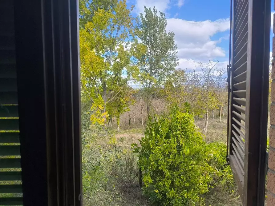 Immagine 78 di Casa colonica in vendita  a Siena