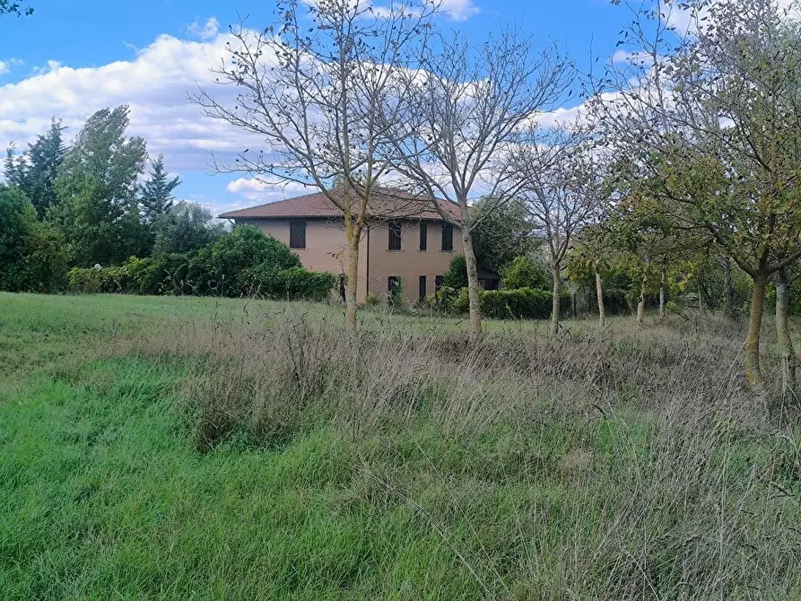 Immagine 14 di Casa colonica in vendita  a Siena