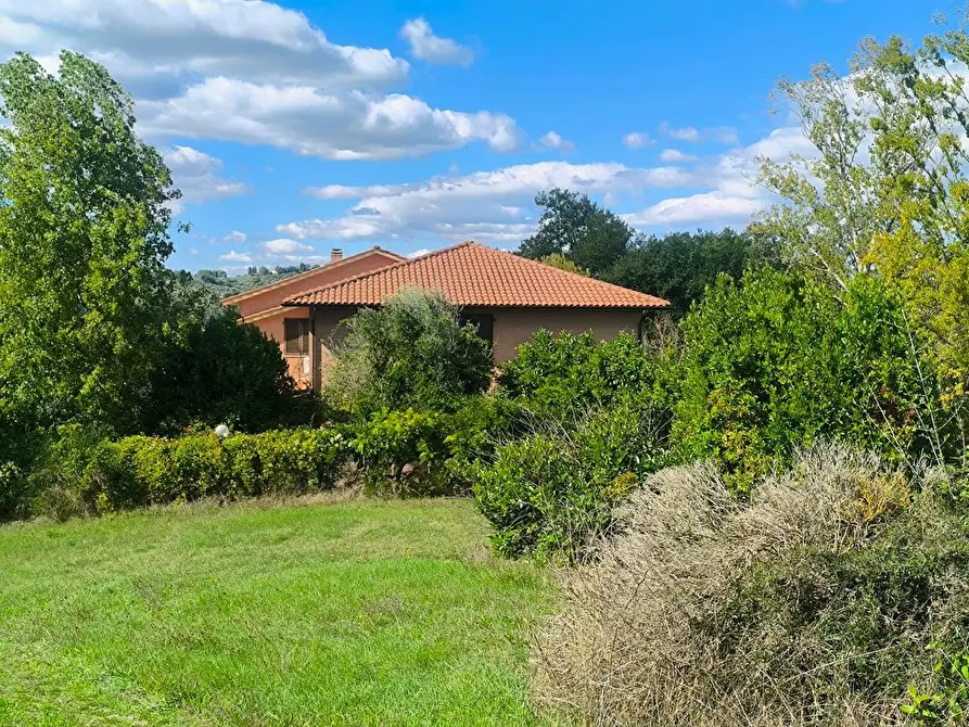 Immagine 19 di Casa colonica in vendita  a Siena